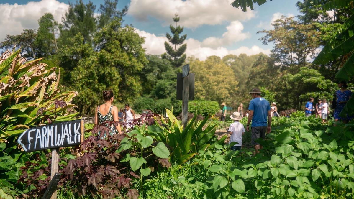 Garden Walk