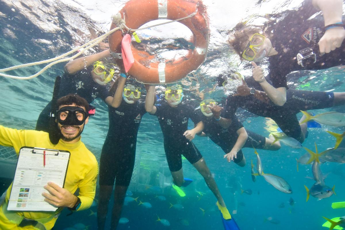 Marine Biologist For A Day