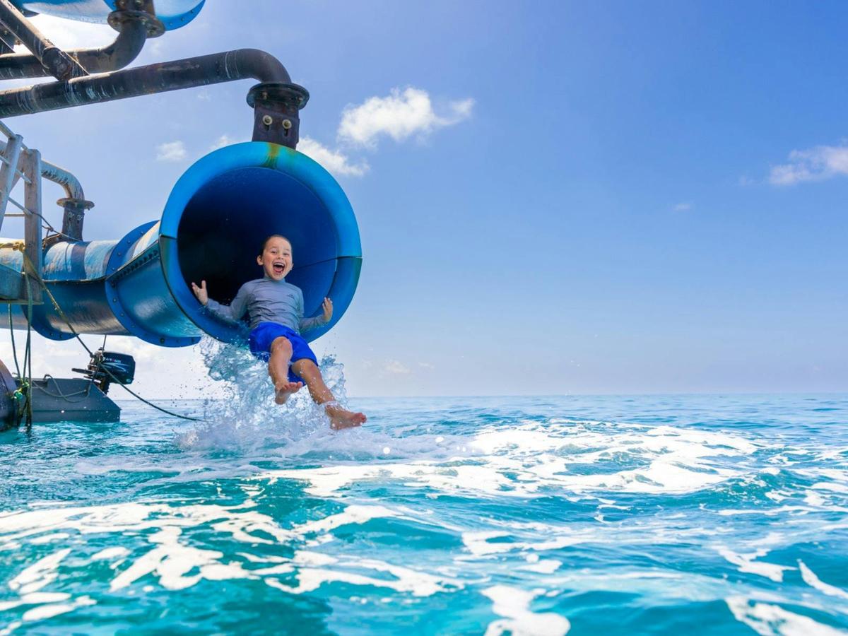 Reef & Island In A Day