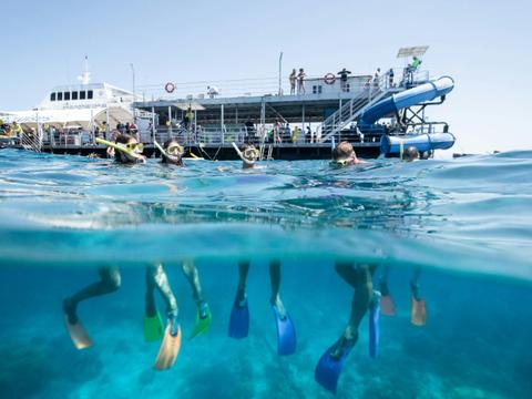 Reef & Island In A Day