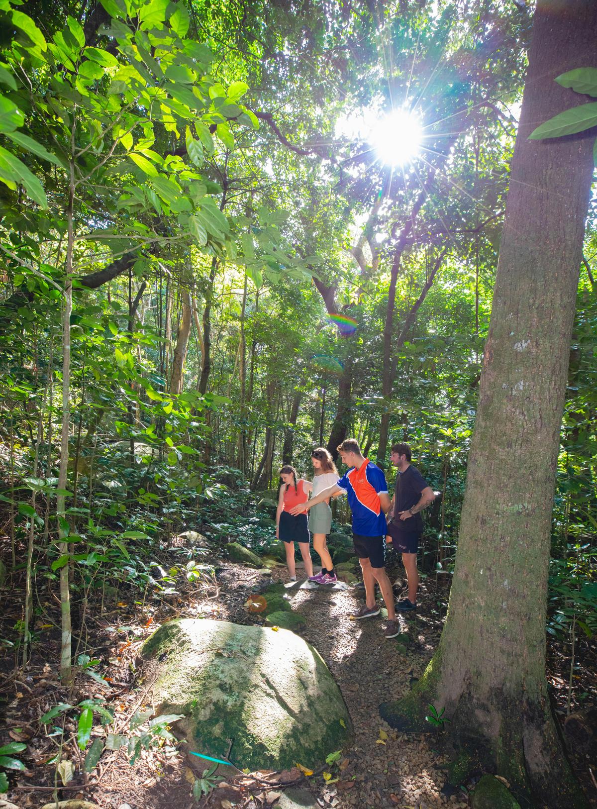Fitzroy Island "Island Value" Tour