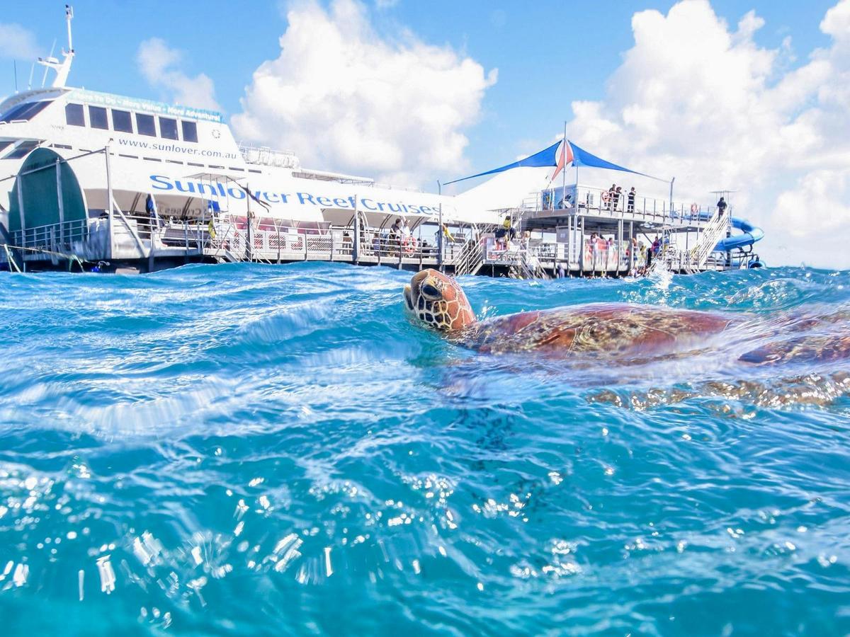 Reef & Island In A Day