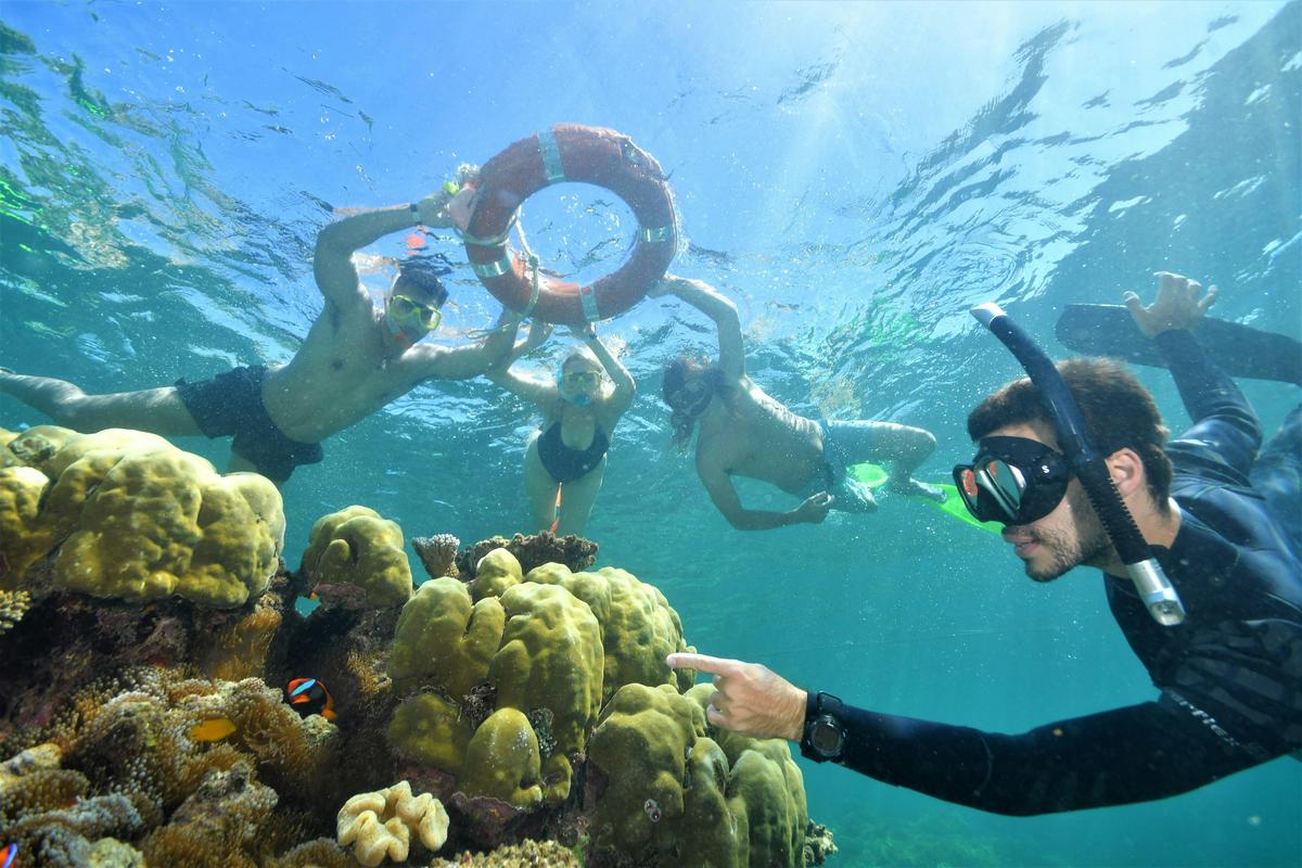 Marine Biologist For A Day