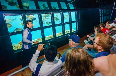 Marine Biologist For A Day