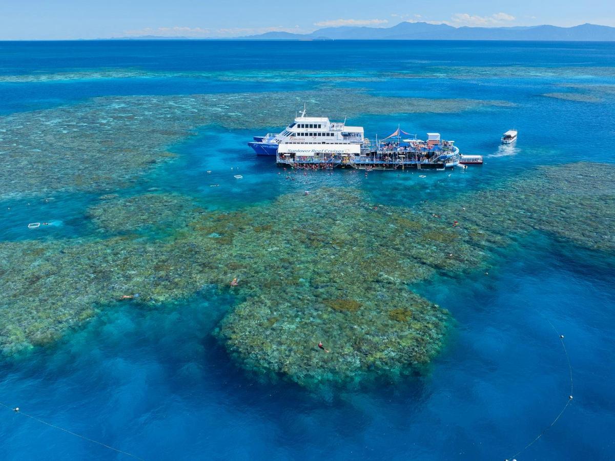 Moore Reef Day Tour