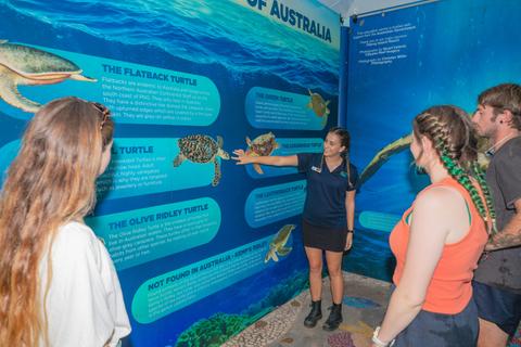 Fitzroy Island "Island Essentials" Tour
