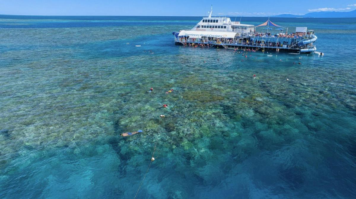 Reef & Island In A Day