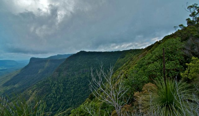 Pinnacle Walk and Lookout