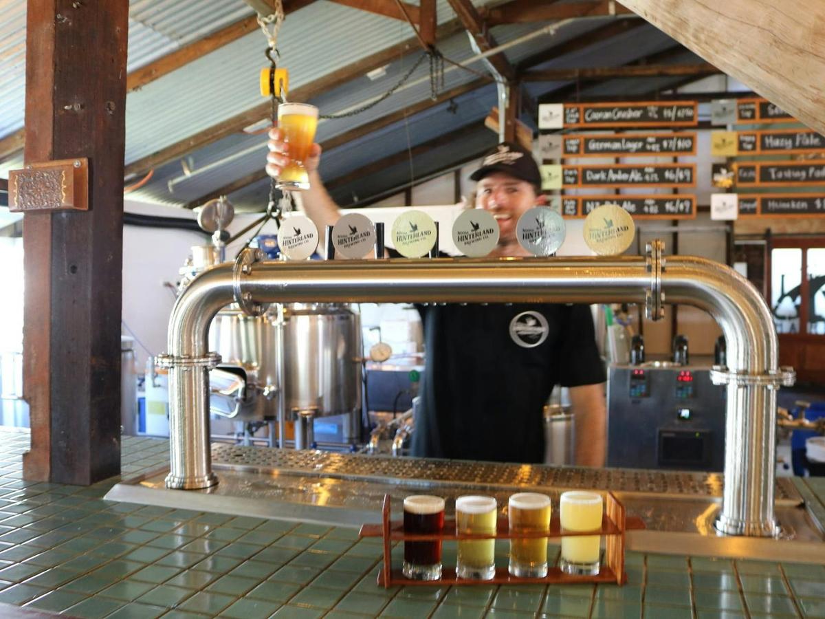 Craft brewery tours