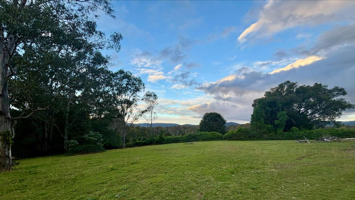 The Paddock in Tamborine