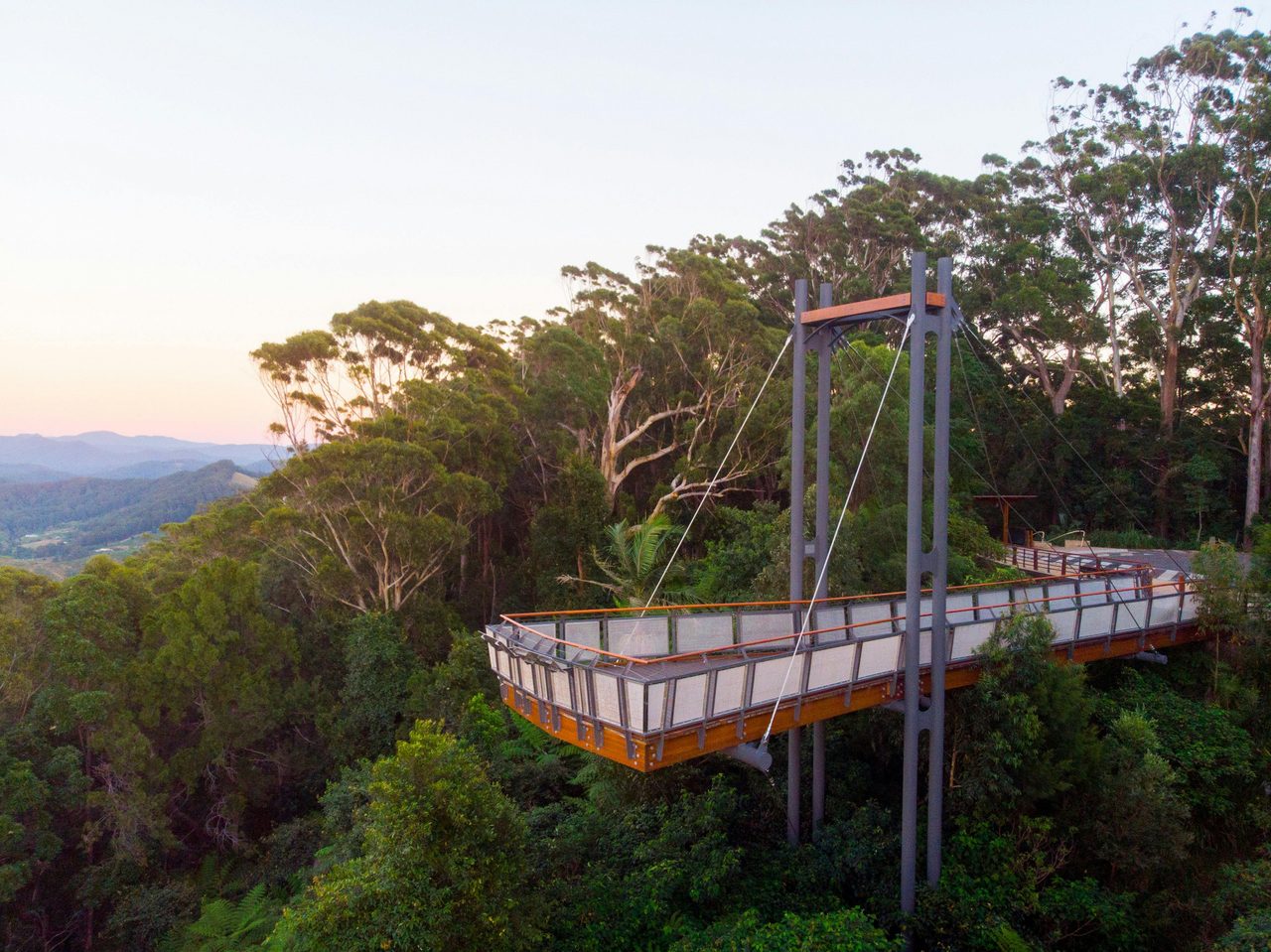 The Forest Sky Pier