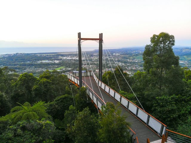 Orara East State Forest