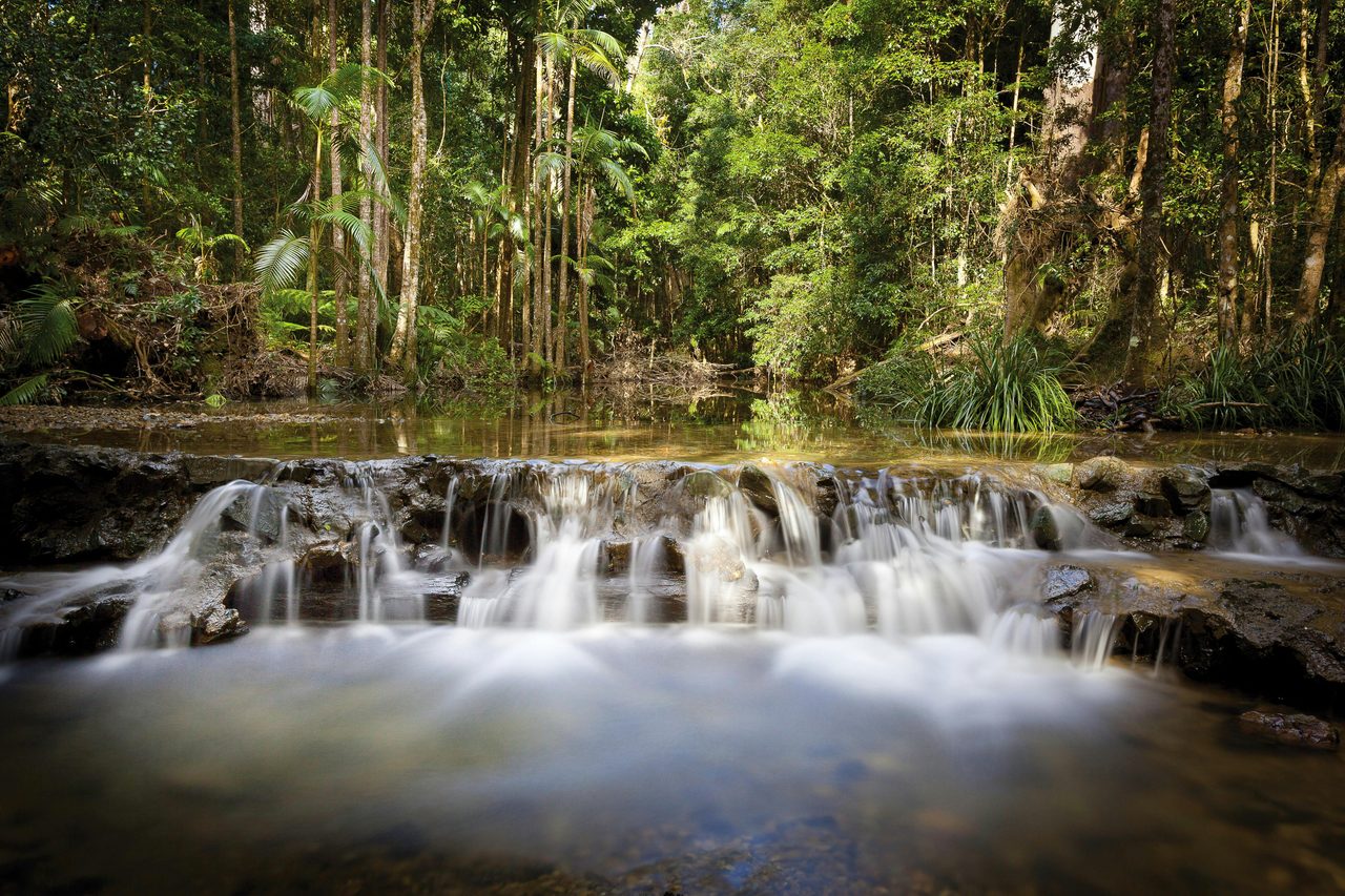 Waterway, Orara East State Forest