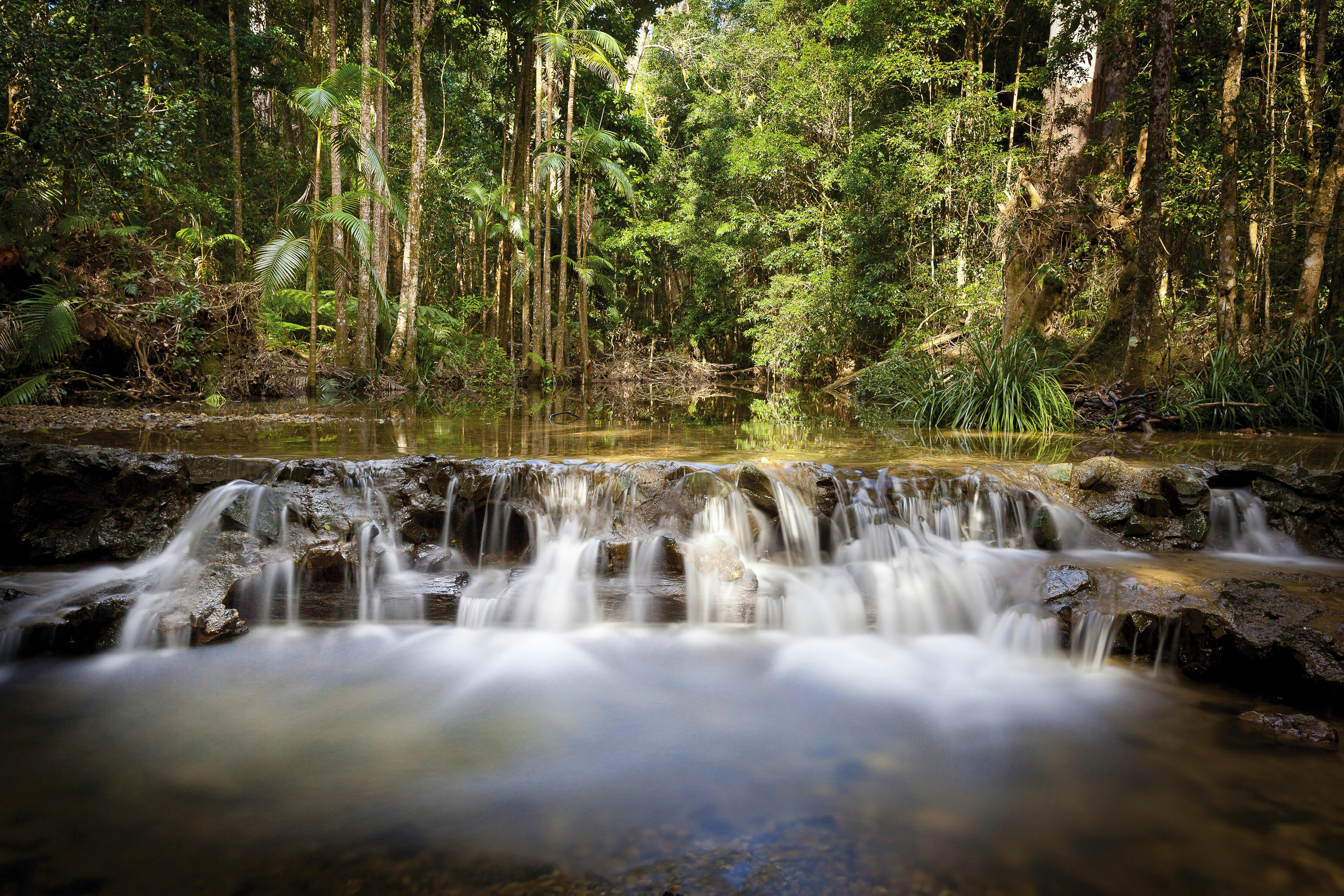 Waterway, Orara East State Forest