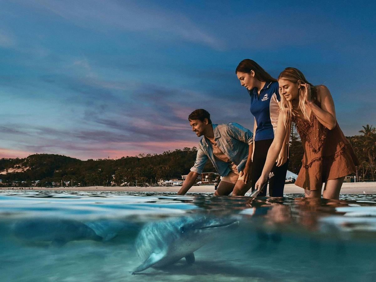 Brisbane to Tangalooma Whale Watching Cruise with Dolphin Feeding (Jun-Oct)
