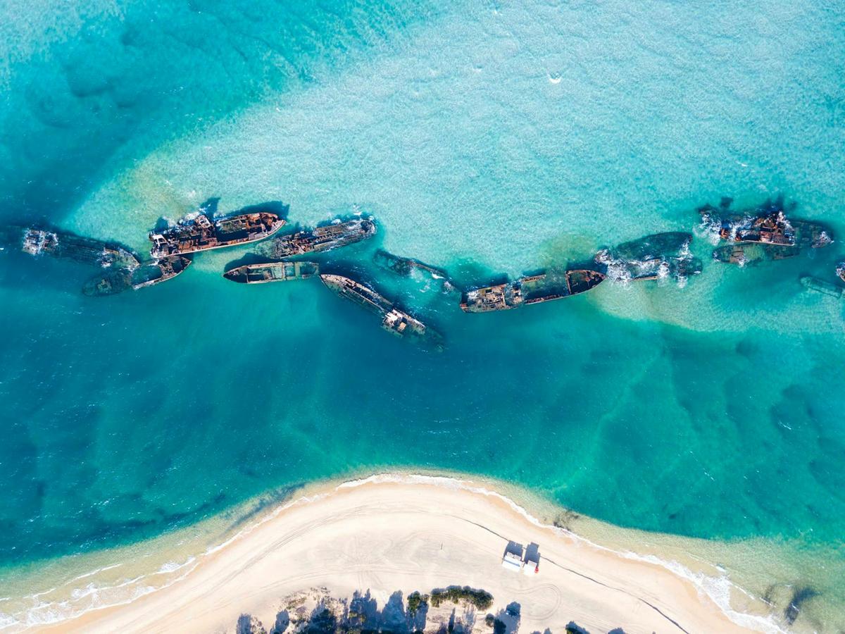 Brisbane to Tangalooma Whale Watching Cruise with Dolphin Feeding (Jun-Oct)