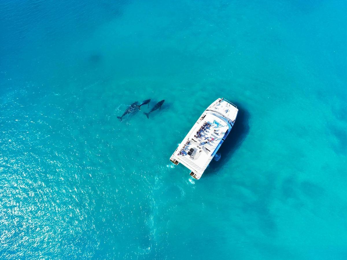 Tangalooma Island Resort