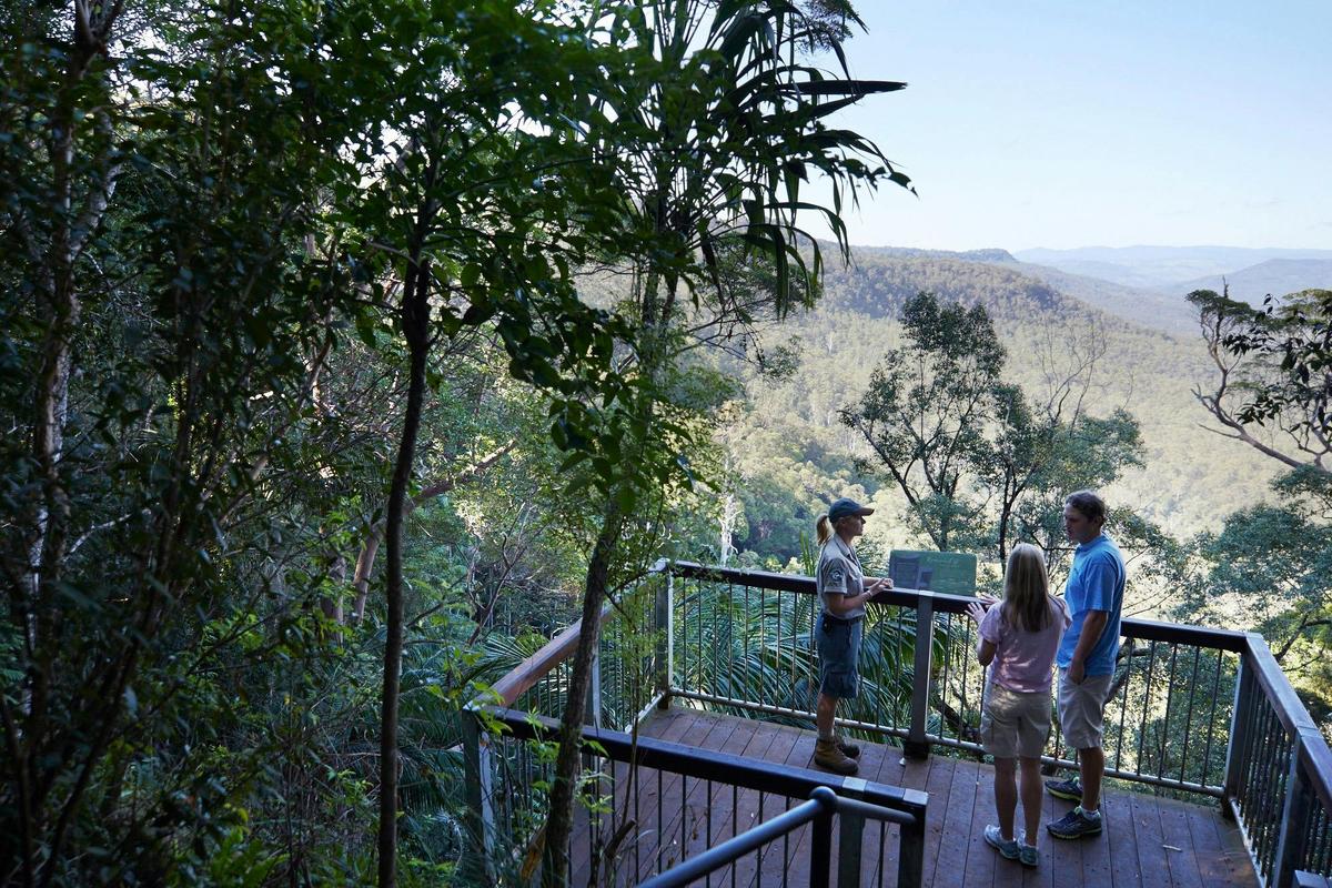 Tamborine National Park
