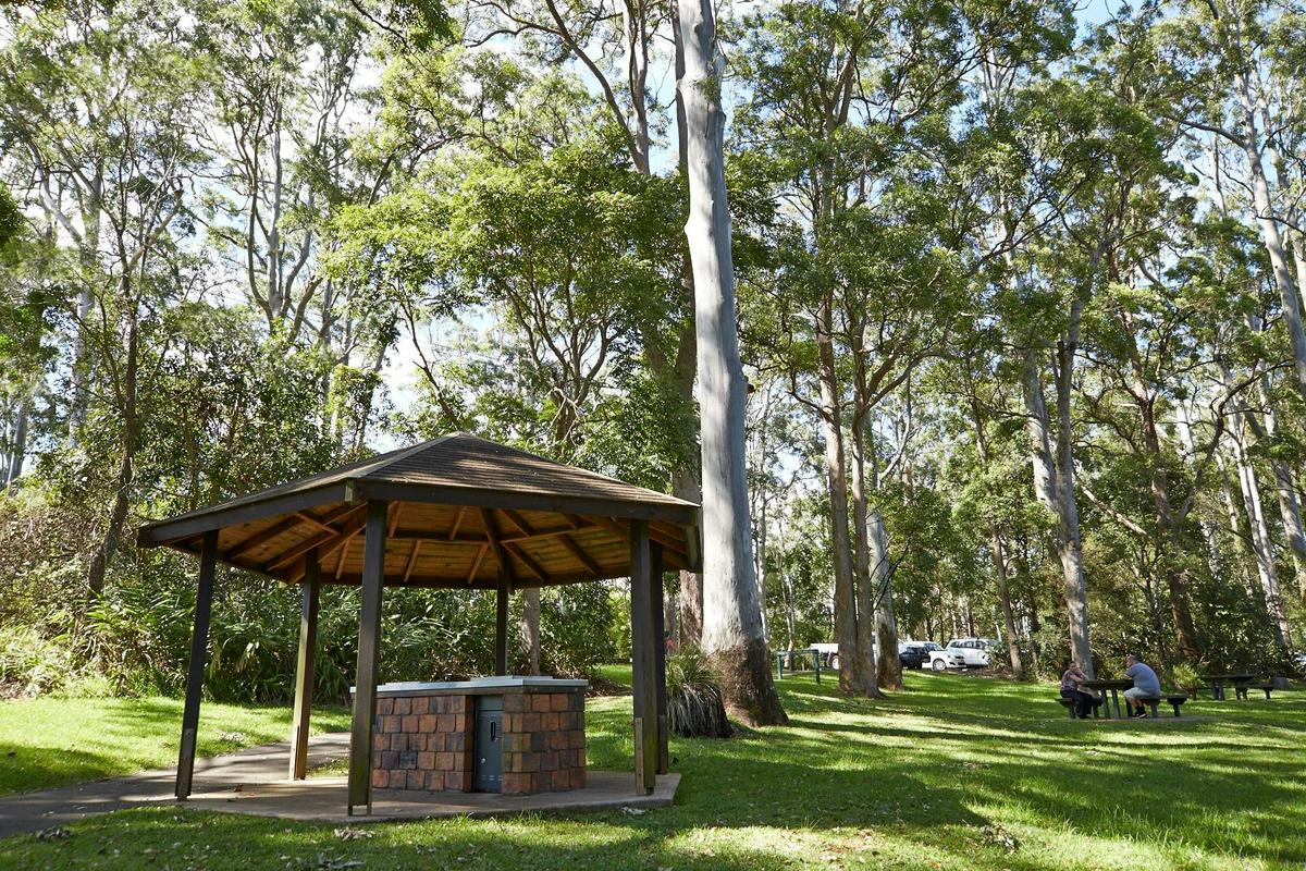 Tamborine National Park