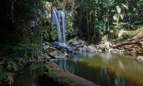 Tamborine National Park