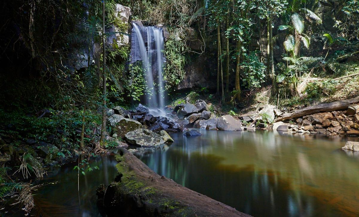 Tamborine National Park