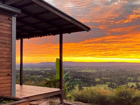 The Avocado Tree Farm - Claudine
