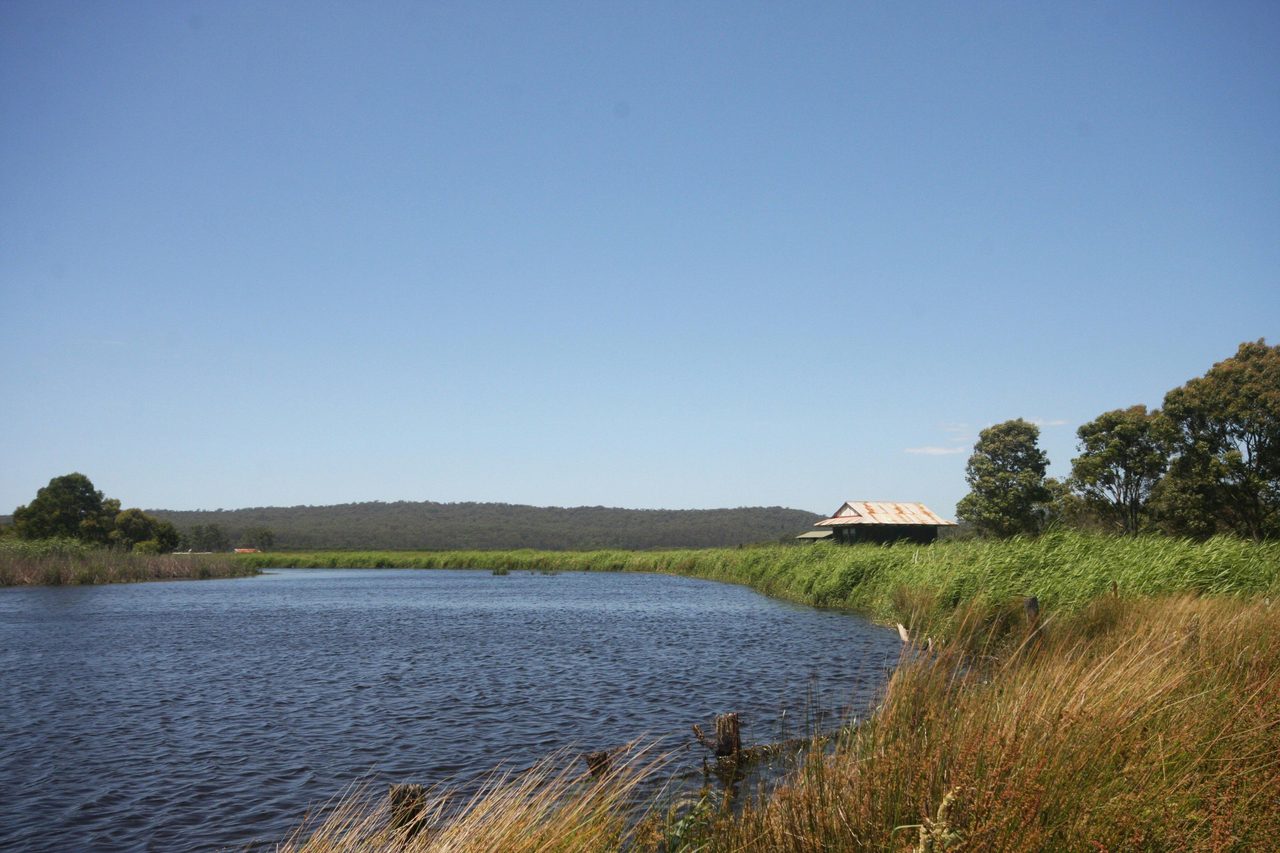 Panboola Wetlands