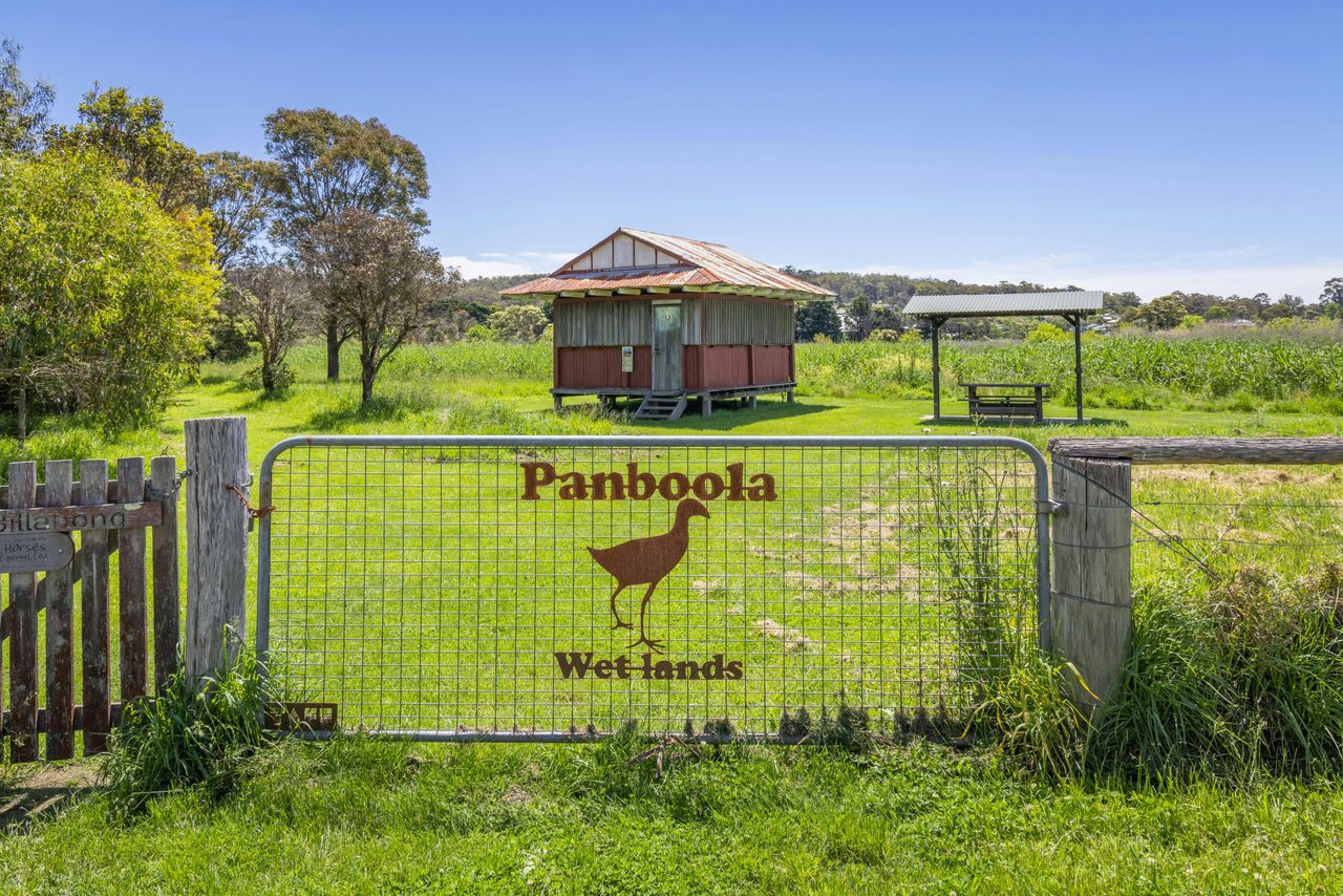 Panboola Wetlands, Pambula
