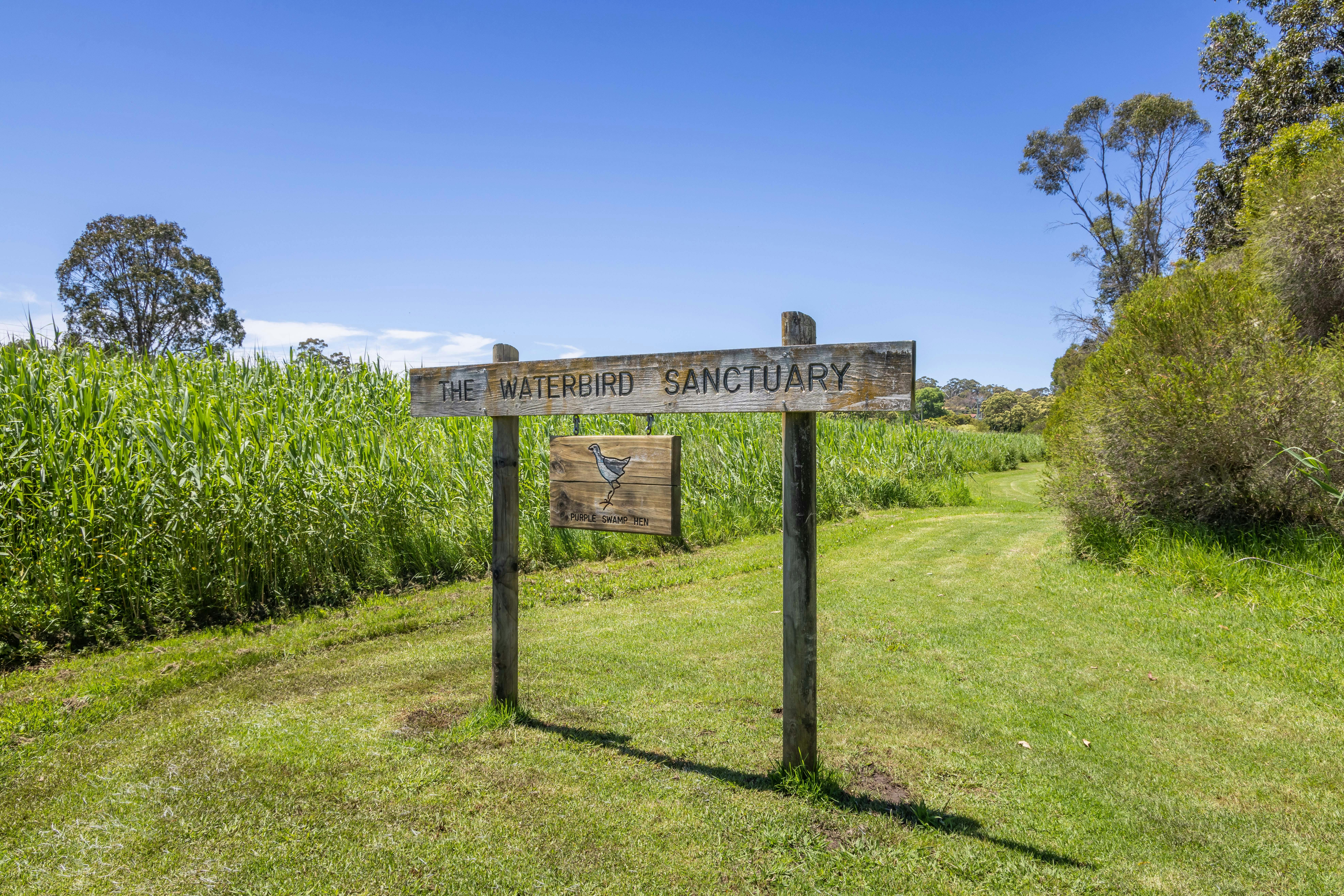 Panboola Wetlands, Pambula