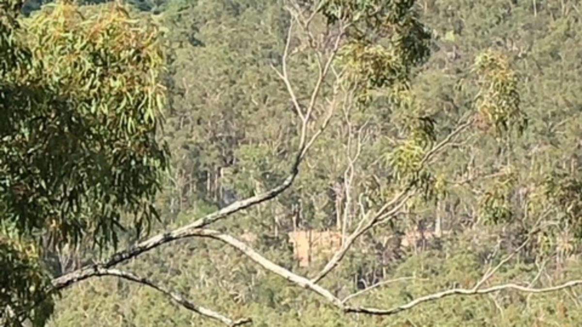 Tara Hills
