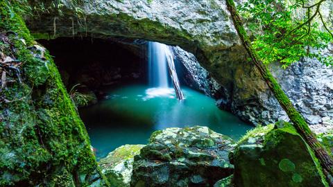 Springbrook