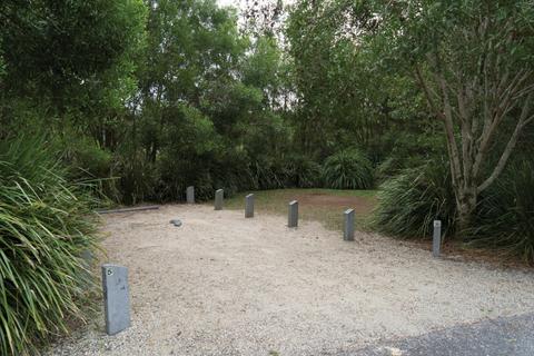 Springbrook National Park camping