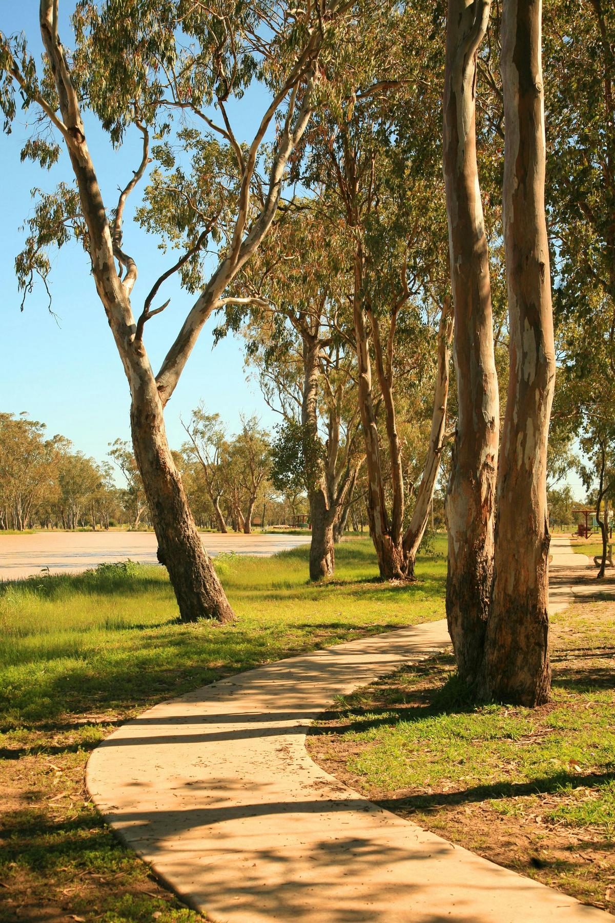 Walking Trail, Tara