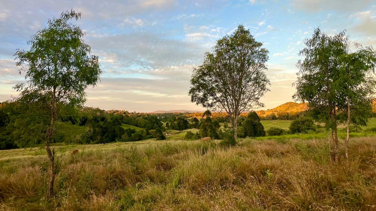 Valley Views