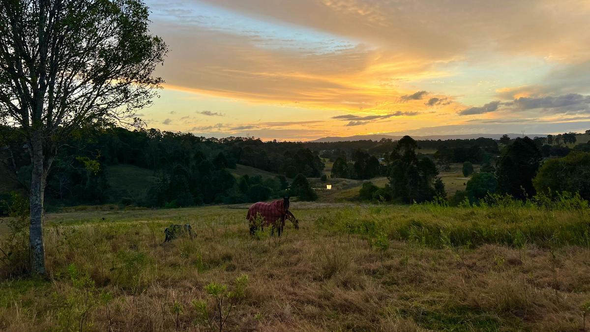 Valley views sunrise