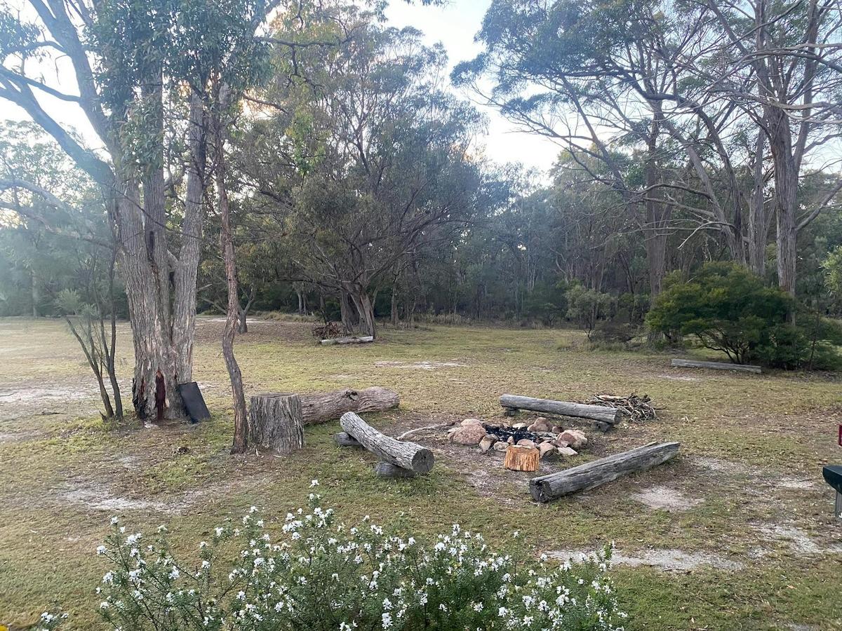 Outdoor Firepits