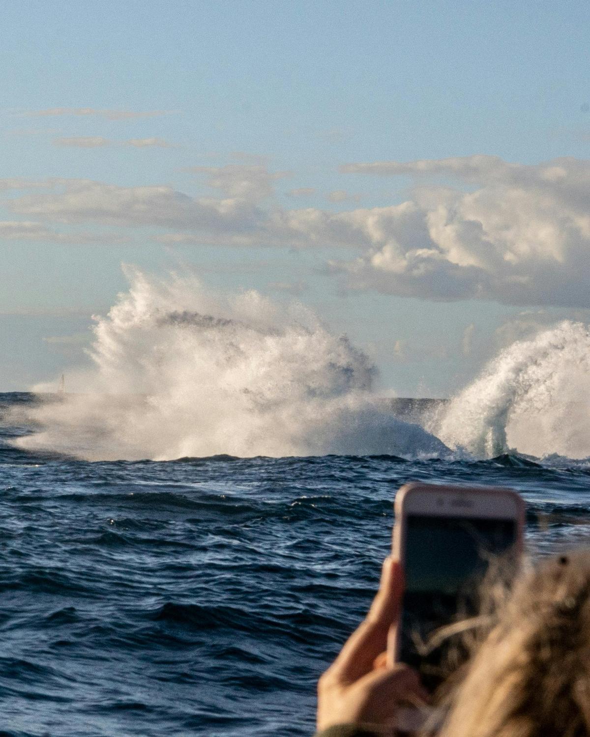 Whale Watching without the crowds