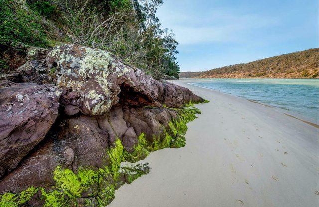 Pambula River Walking Track