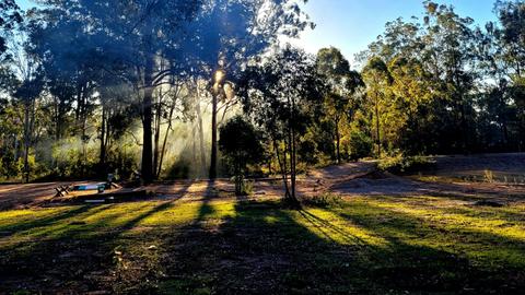 The Croft _ Horse Trax Oz Blackbutt