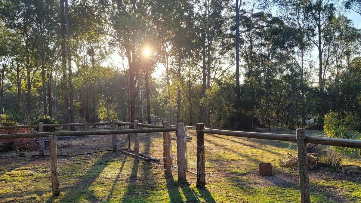 The Croft _ Horse Trax Oz Blackbutt