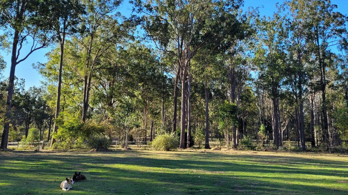 The Croft _ Horse Trax Oz Blackbutt