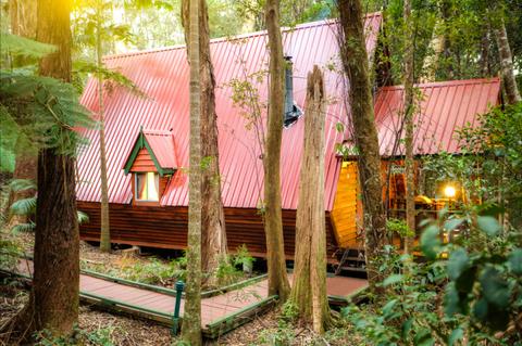 Rainforest Spa and Stream Chalet