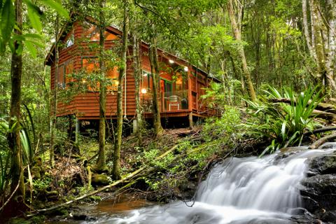 The Mouses Rainforest Retreat