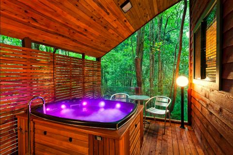 Luxury Rainforest Spa and Stream Chalet