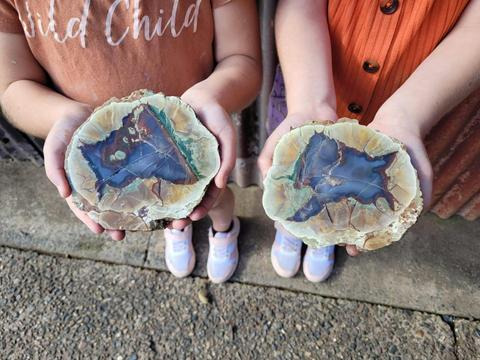 Thunderegg & Crystal Mine
