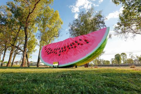 The Big Melon