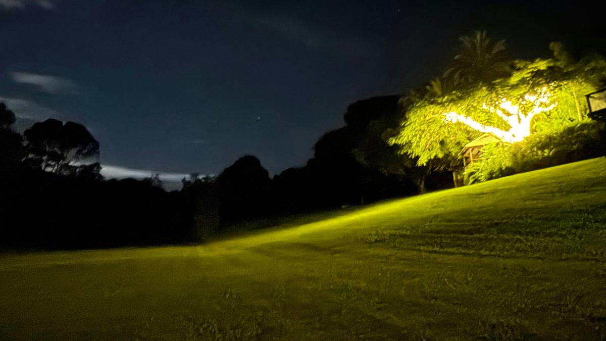 The Enchanted Paddock