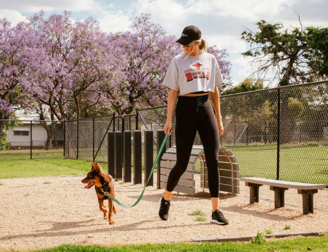 Dog Park