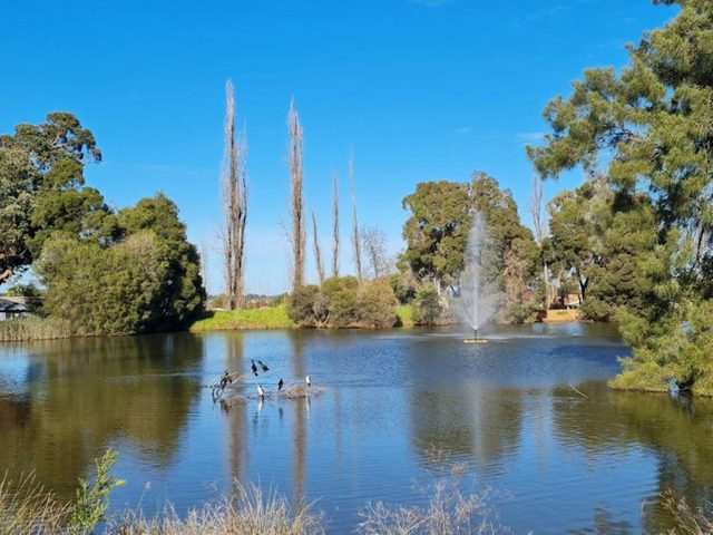 Parkes Dog Park at Kelly Reserve