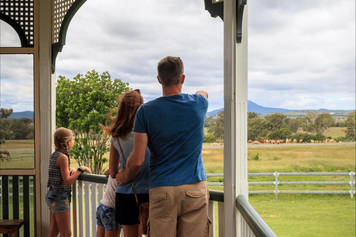 Enjoy the view from the cafe verandah